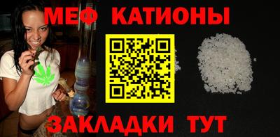 индика Гатчина
