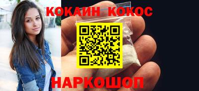 индика Гатчина