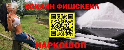 индика Гатчина
