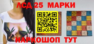 индика Гатчина