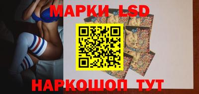 индика Гатчина