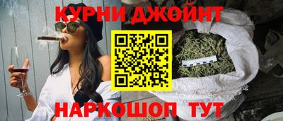 индика Гатчина
