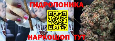индика Гатчина