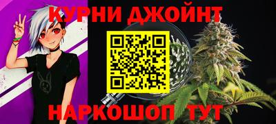 индика Гатчина