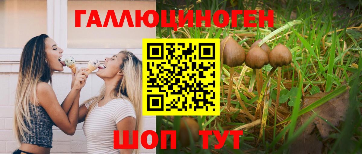 Назарово  Псилоцибиновые грибы ЛСД  Вход с VPN 